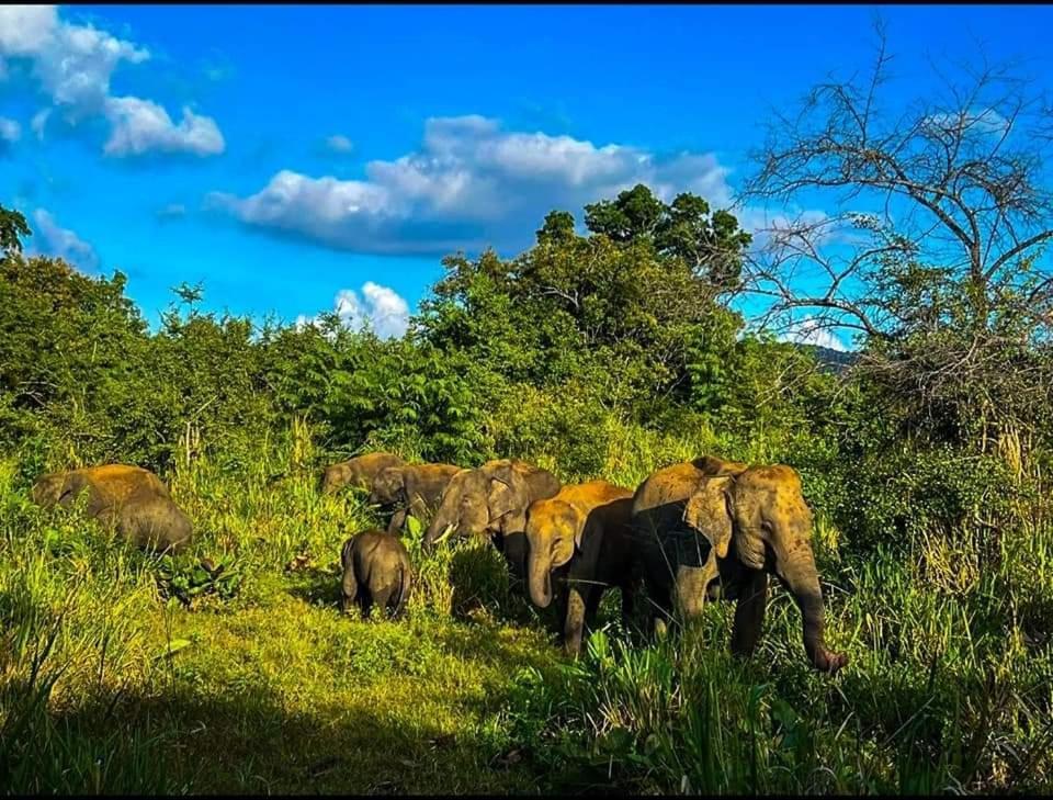 Visu Villa Hotel ฮาบารานา ภายนอก รูปภาพ